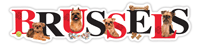 Brussels Griffon thumbnail