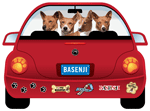 Basenji thumbnail