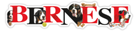 Bernese thumbnail