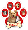 Rescue thumbnail