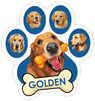 Golden (blue) thumbnail
