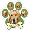 Golden (green) thumbnail