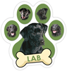 Lab (green) thumbnail