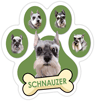 Schnauzer (green) thumbnail