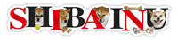Shiba Inu thumbnail