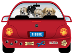 Tibbie thumbnail