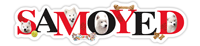 Samoyed thumbnail