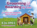 Dog House thumbnail