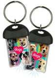 dogs thumbnail