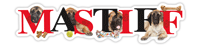 Mastiff thumbnail