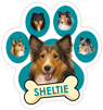 Sheltie (Teal) thumbnail