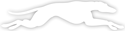 Running Greyhounds - White thumbnail