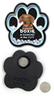 A Diamond in the Ruff - Doxie thumbnail