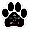My Best Friend is a Bitch! thumbnail