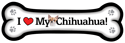 Chihuahua thumbnail