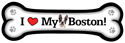 Boston thumbnail