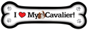 Cavalier thumbnail