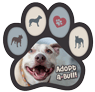 Adopt-A-Bull thumbnail