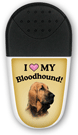 Bloodhound thumbnail