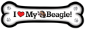 Beagle thumbnail