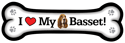 Basset Hound thumbnail