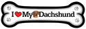Dachshund thumbnail