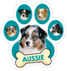 Aussie thumbnail