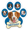 Brittany thumbnail