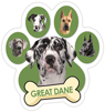 Great Dane thumbnail
