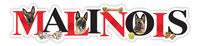 Belgian Malinois thumbnail
