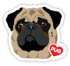Pug head thumbnail