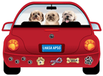 Lhasa Apso thumbnail