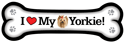 Yorkie thumbnail