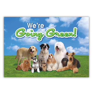 Going Green thumbnail