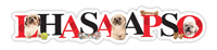 Lhasa Apso thumbnail