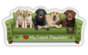 Labrador thumbnail