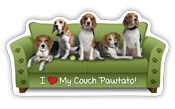 Beagle thumbnail