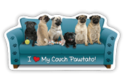 Pug thumbnail