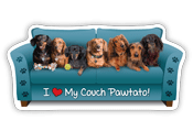 Dachshund thumbnail