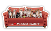Chihuahua thumbnail
