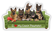 German Shepherd thumbnail
