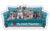 Schnauzer thumbnail