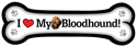 Bloodhound thumbnail