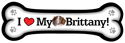 Brittany thumbnail