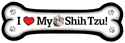 Shih Tzu thumbnail