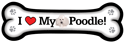Poodle thumbnail