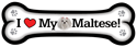 Maltese thumbnail