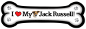 Jack Russell thumbnail