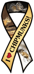 Chipmunks thumbnail
