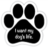 Dog's Life thumbnail